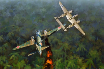 Visit Japanese Admiral Yamamoto’s Plane Wreck from WW2