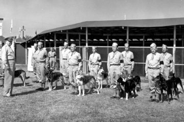 Dogs in WWII: “The Use of War Dogs” 1943 War Department (US Army); K-9 Corps