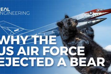 Here is the story of Why The US Air Force Ejected a Bear