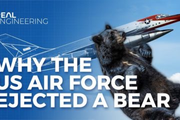 Why the US Air Force Ejected a Bear