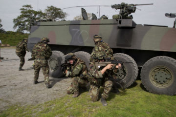 Irish Defence Forces